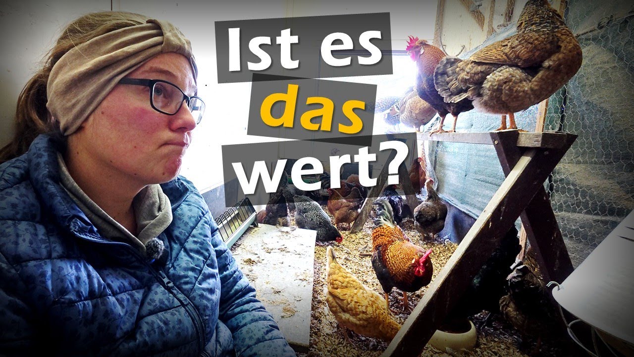 Der SEUCHENSCHUTZ war da! Wie geht's jetzt weiter? 😞 #Hühner 5
