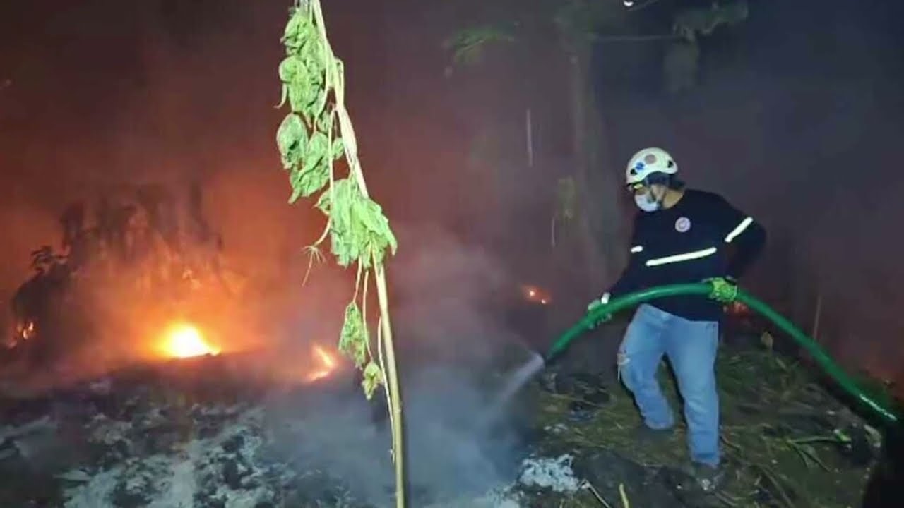 Incendios atendidos por el Cuerpo de Bomberos en las últimas horas