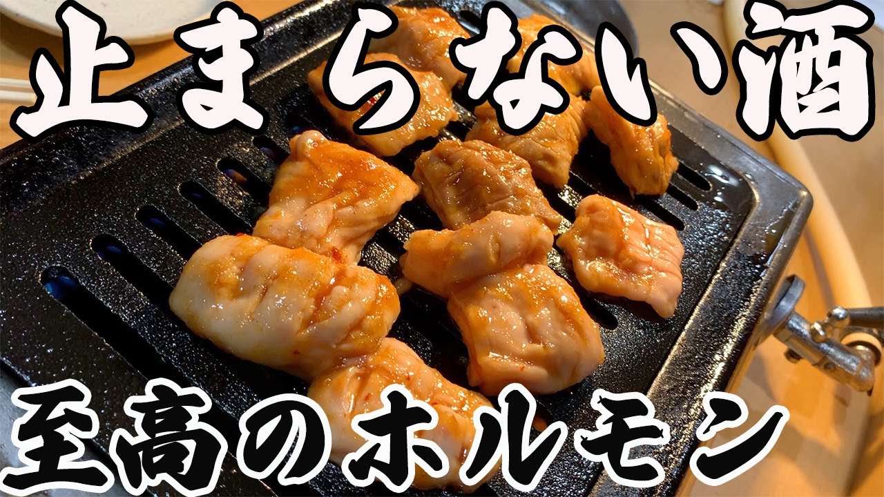 【必見‼】最強レモンサワーを飲みながら食べるホルモンが旨すぎる!!