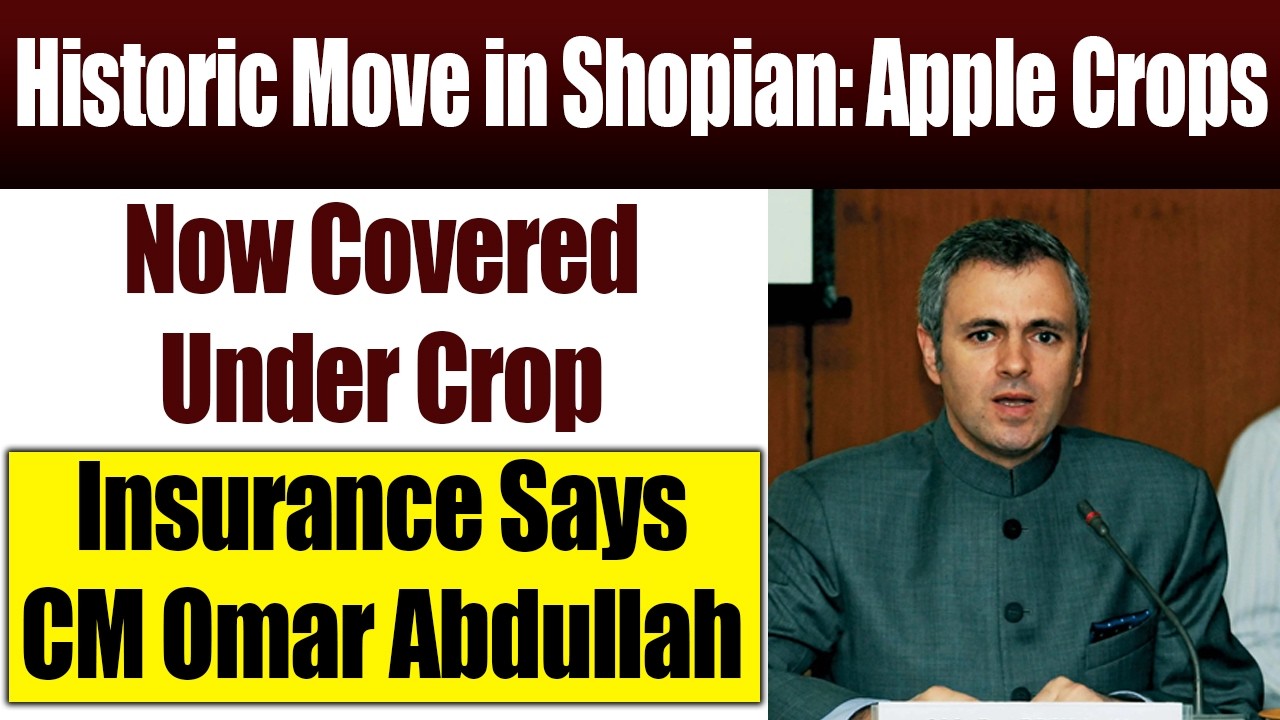 Shopian Farmers Rejoice: CM Omar Abdullah Includes Apple Crops in Crop Insurance Scheme