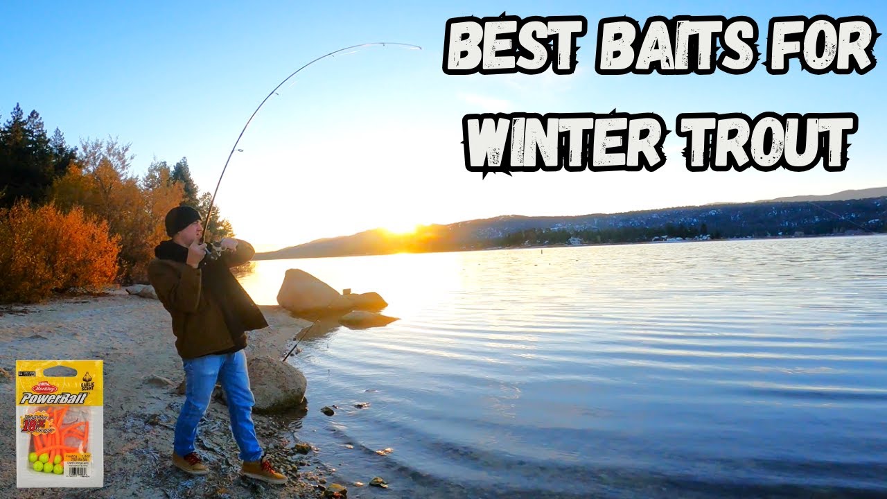 Best Baits for Winter Trout Fishing | Big Bear Lake