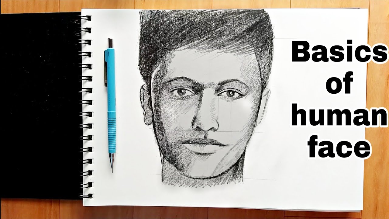 how to draw Face   | for beginners
