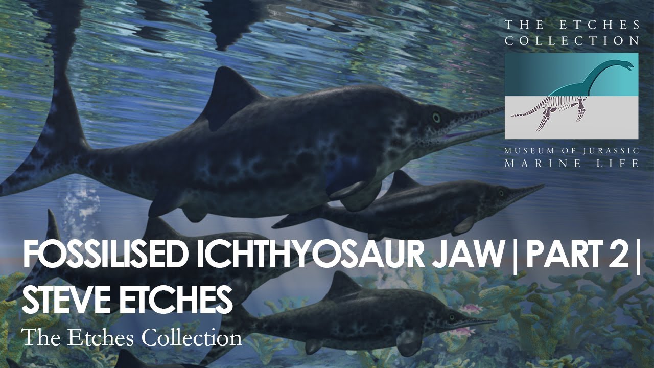 FOSSILISED ICHTHYOSAUR JAW | PART 2 | STEVE ETCHES