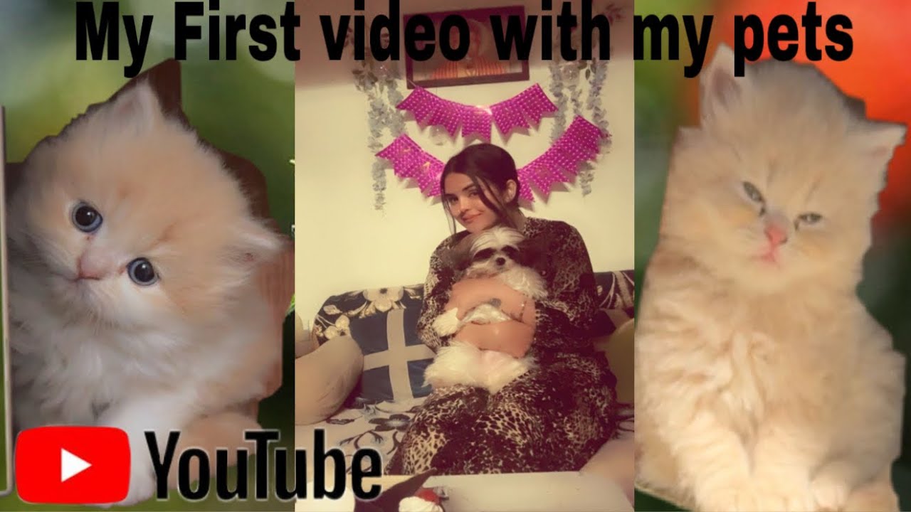 My First Video with my Cute pets 😘🥰🐶🐱