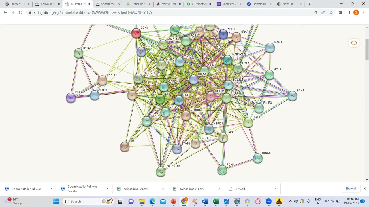 Network Pharmacology