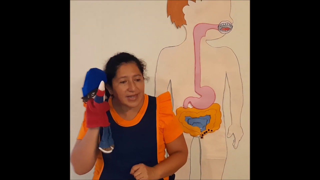 SISTEMA DIGESTIVO, para niños de inicial . Mundo Kids