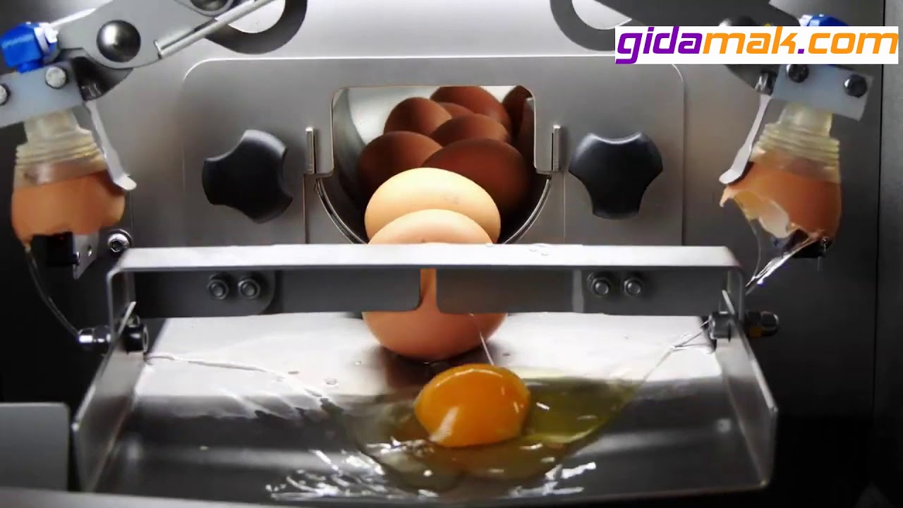 RZ-0 Yumurta Kırma Makinesi - Egg Breaker And Separator