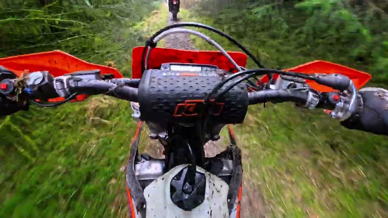 WET & BOGGY DAY ON THE TRAILS
