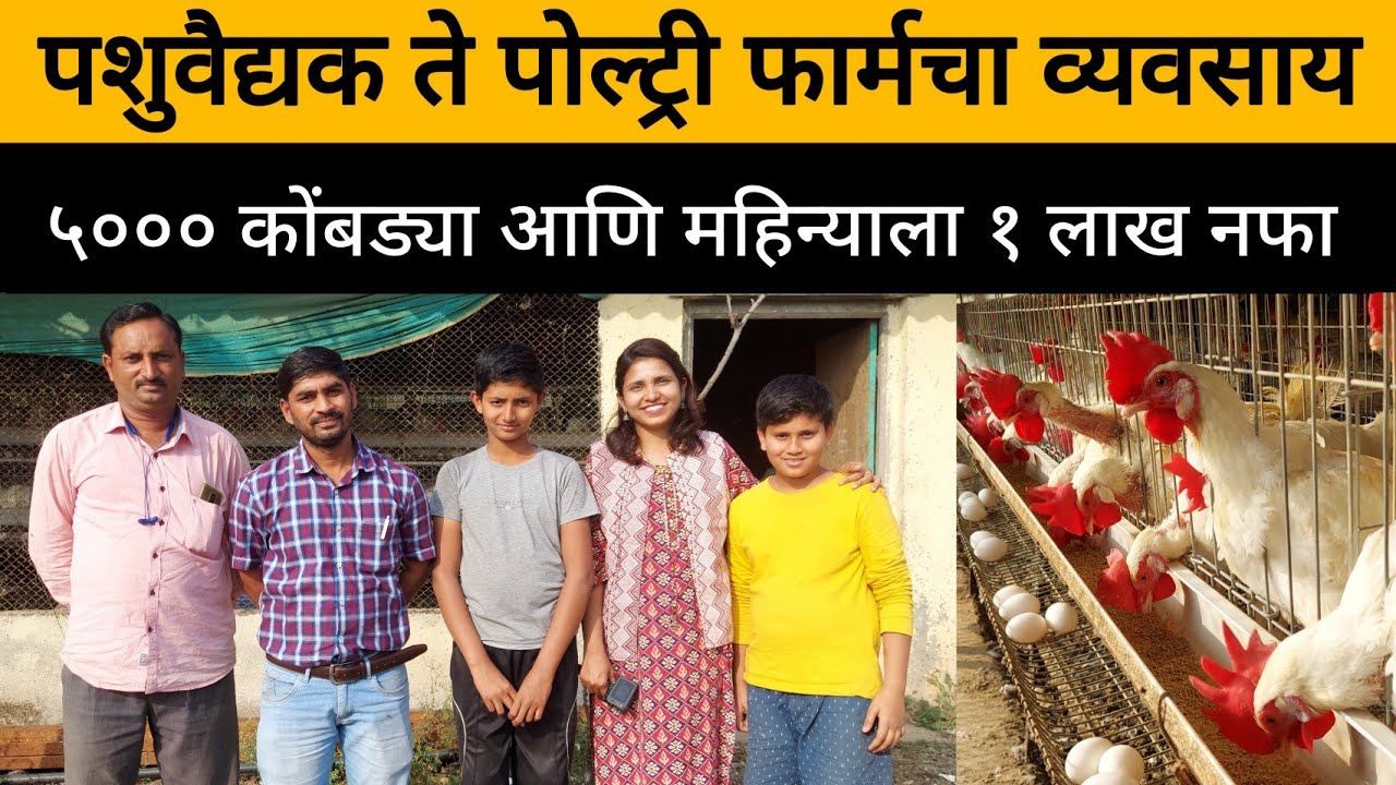 अंडी उत्पादन करून महिन्याला १ लाख नफा | Layer Poultry Farm A To Z माहिती | अंड्यांवरील कोंबड्या