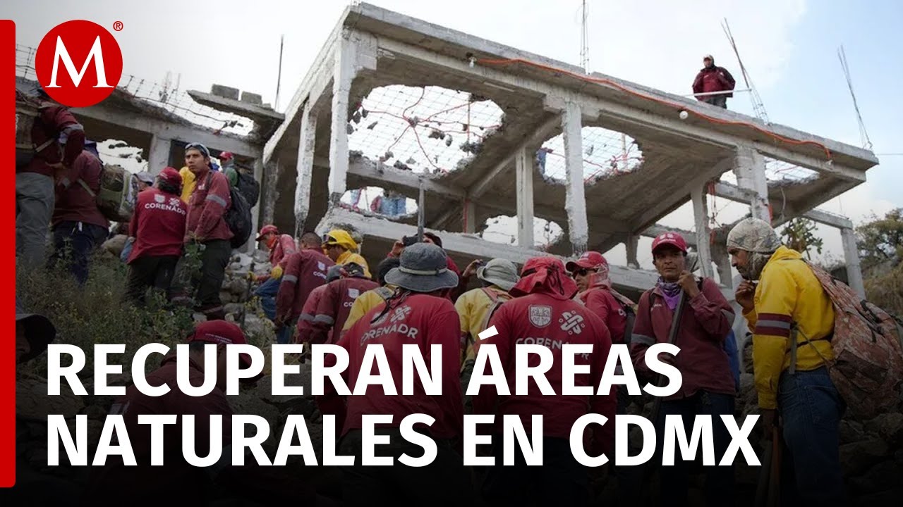 44 construcciones demolidas en CdMx por estar en Áreas Naturales Protegidas; recuperan 11 hectáreas