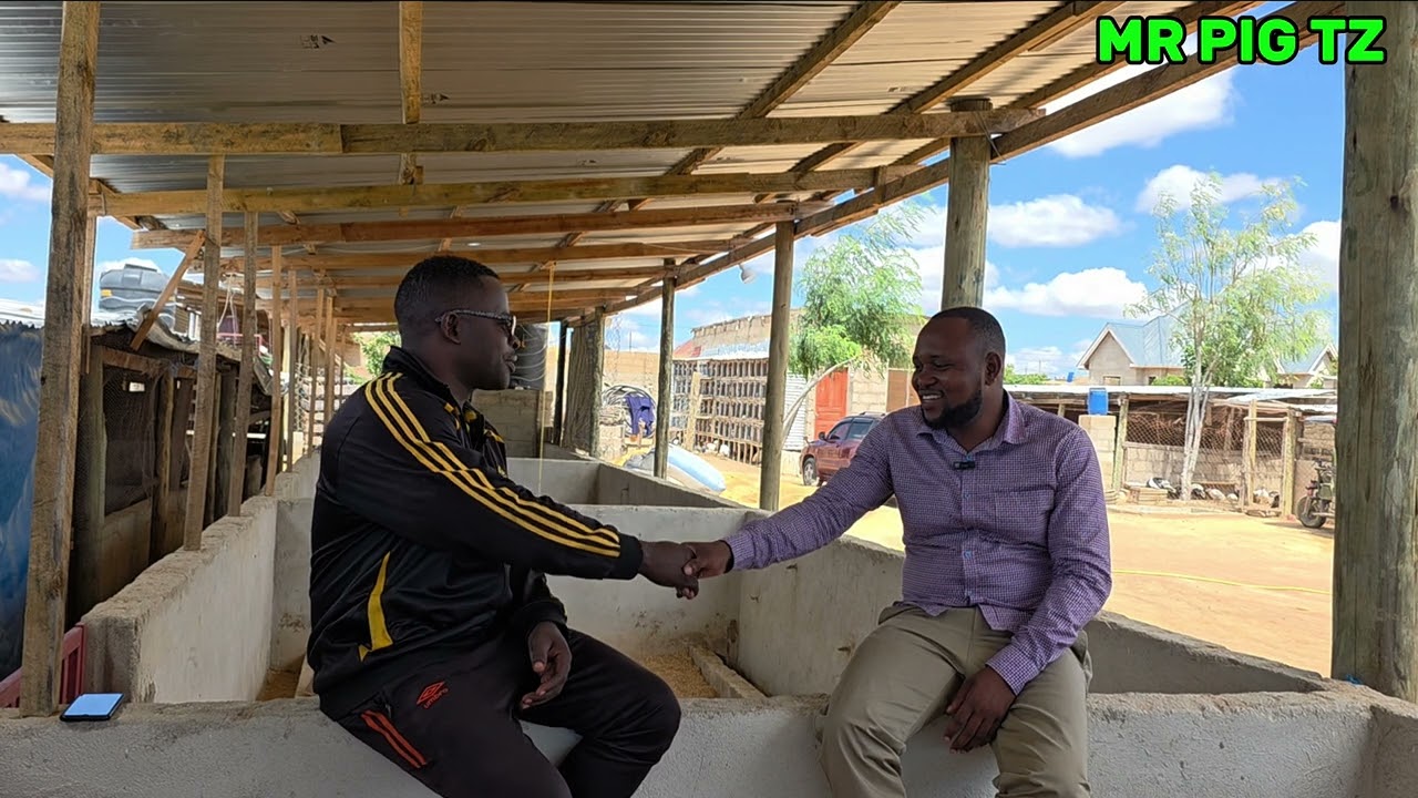 STORY ZA SHAMBANI ,,MWALAVILA & DR BAGUMA.