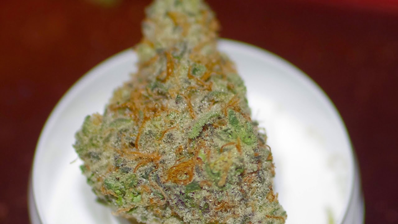 Mint Chocolate Chip Flower Review- Revolution Cannabis