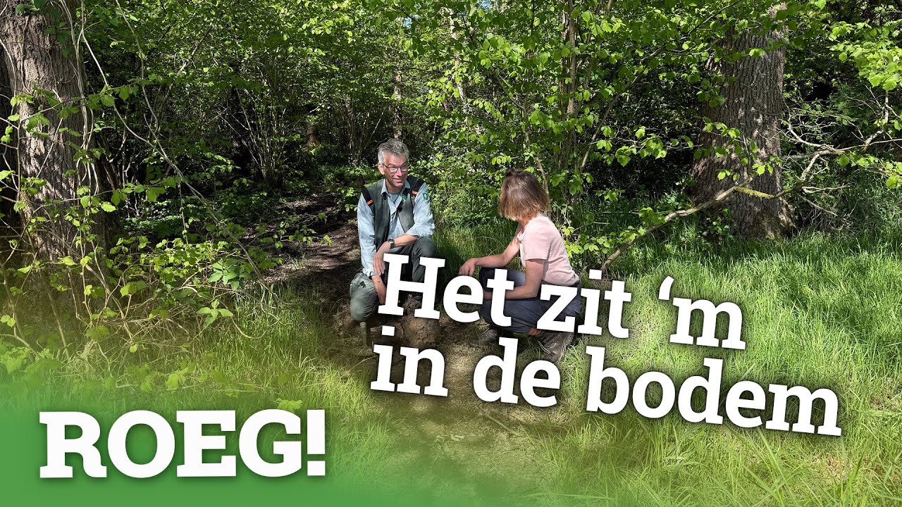 Eeuwenoude bosbodem zorgt voor bijzondere vegetatie | ROEG! Uitzending