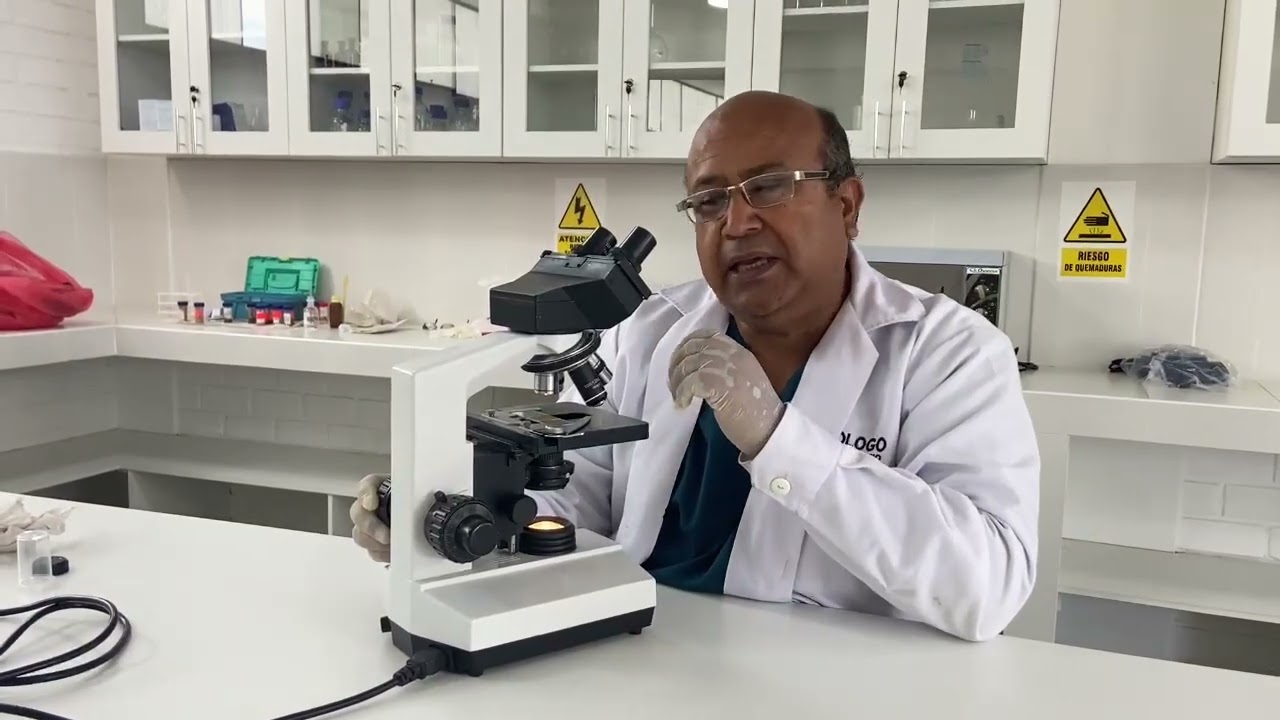 Consejos para enfocar una muestra en el microscopio 
