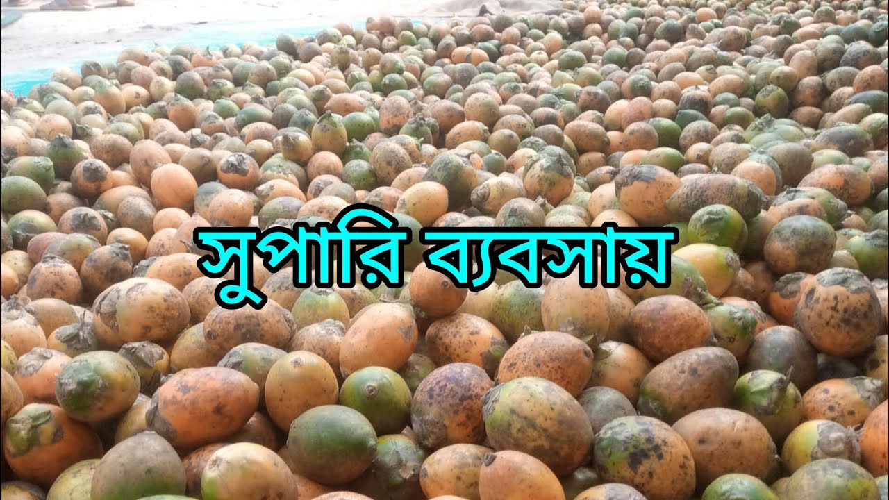 সুপারির ব্যবসা। প্রকৃত ব্যবসায়ী টাকা মেরে খায় না। যারা খায় তারা ব্যবসায়িক নয়
