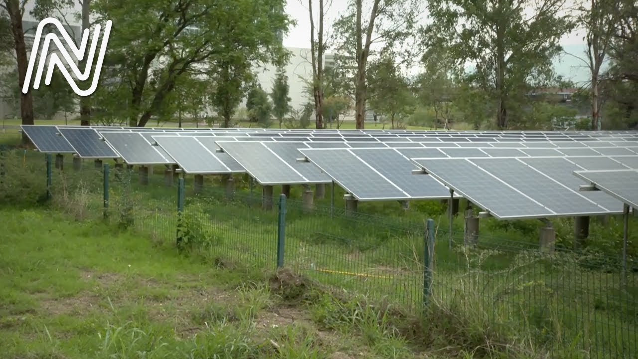 &iquest;Sabes cu&aacute;les son las energ&iacute;as renovables y qu&eacute; es la ecotecnolog&iacute;a? | Jalisco Noticias