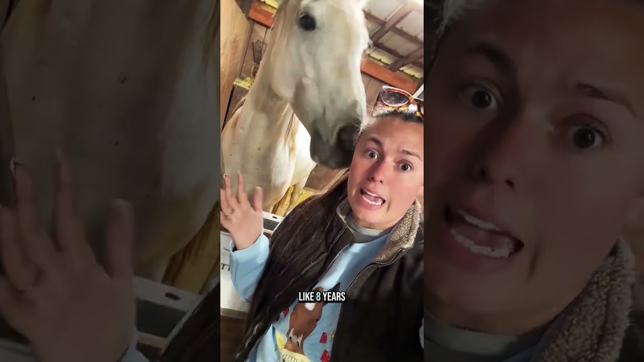When is a horse fully grown? 🐴✨ Katie answers how long it takes for horses to reach full size!
