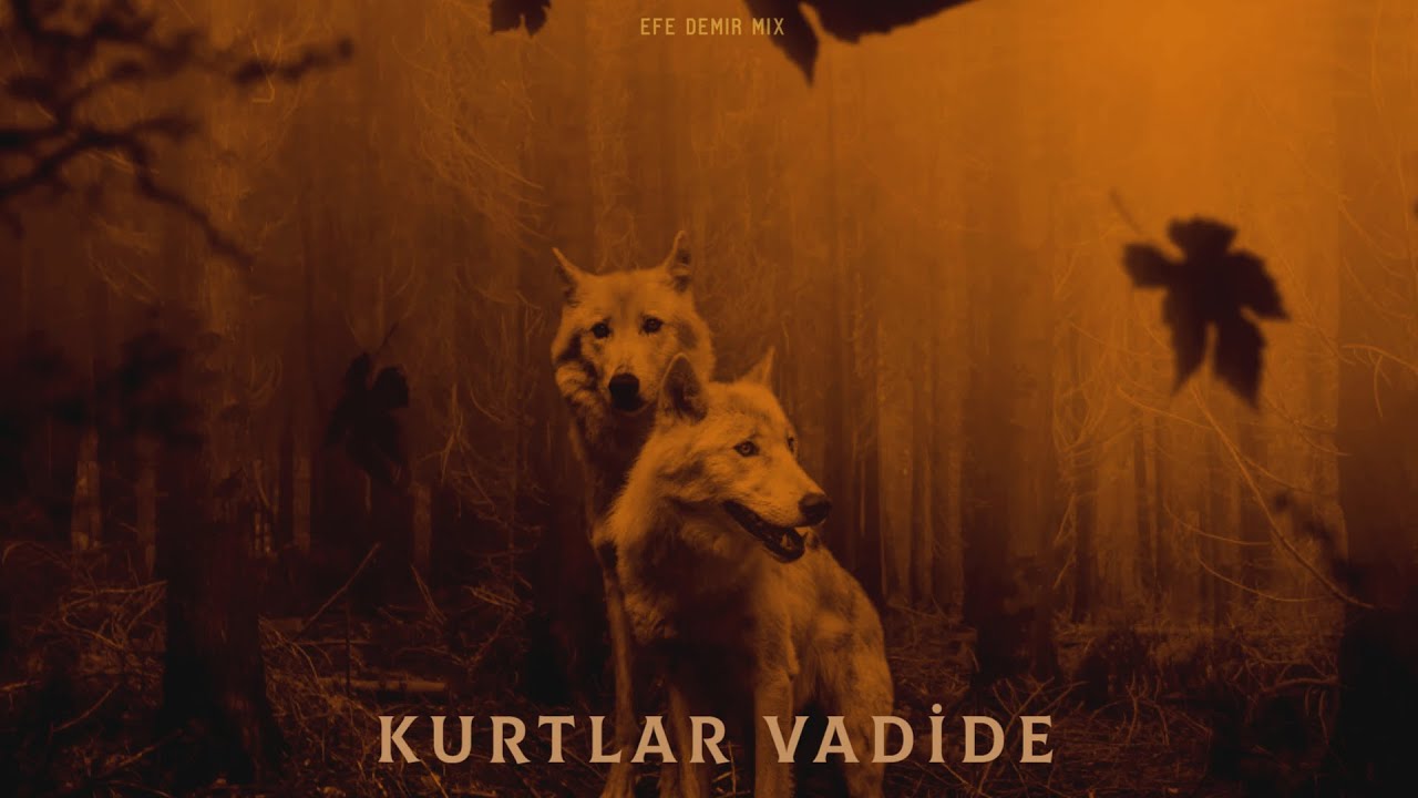 Kurtlar Vadide - Efe Demir Mix | Turkish Trap