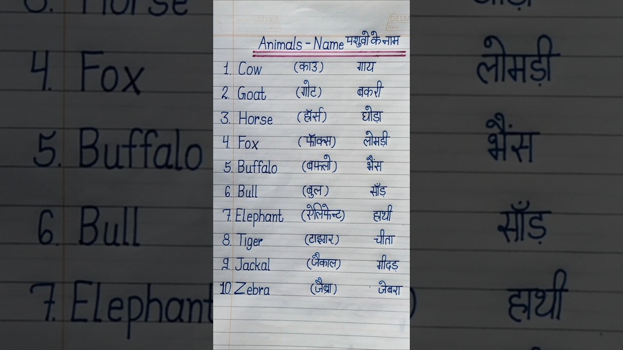 10 wild animals name in english | #wild animals name |# wild animals | #janvaron ke naam #sfclasses