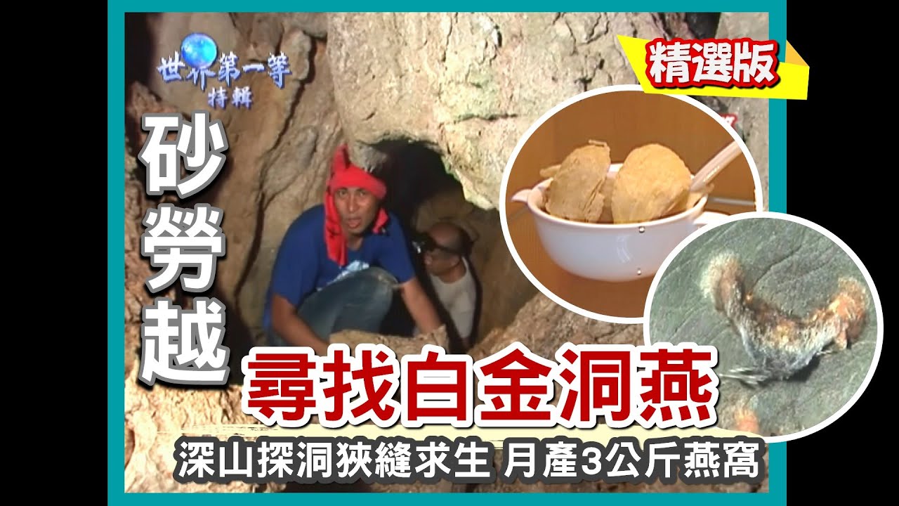 【砂勞越】懸崖燕洞探白金 狹縫中求生存｜《世界第一等》302集精華版