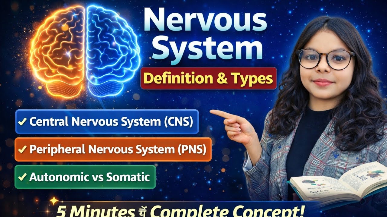 Nervous system # definition & types #
