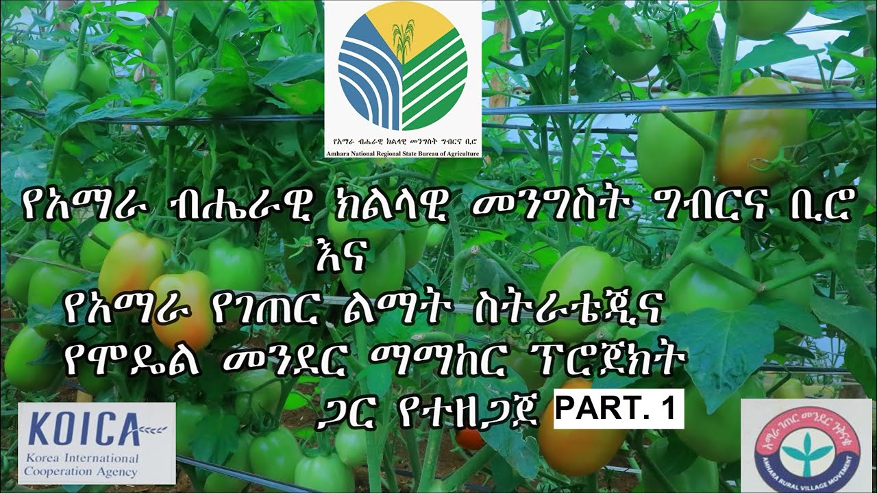 (Amharic Original Ver. Part 1) KOICA's Rural Development Project in Amhara, Ethiopia