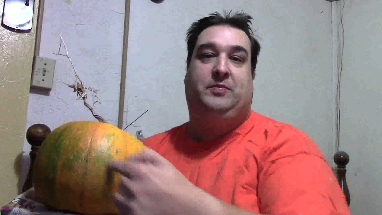 #RWYW PCA - Pumpkin Composting Announcement #AZVlogger