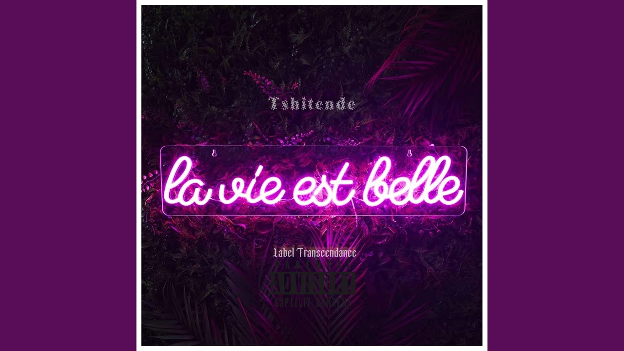 La vie est belle (feat. Tshitende) (Radio Edit)