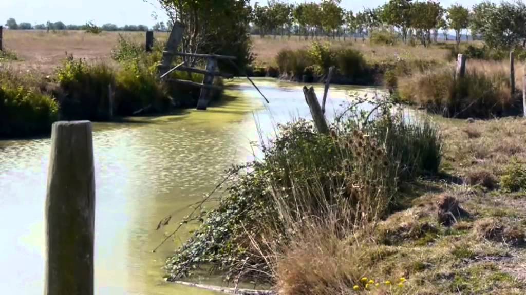 Paysages d'ici et d'ailleurs - Le Marais Poitevin
