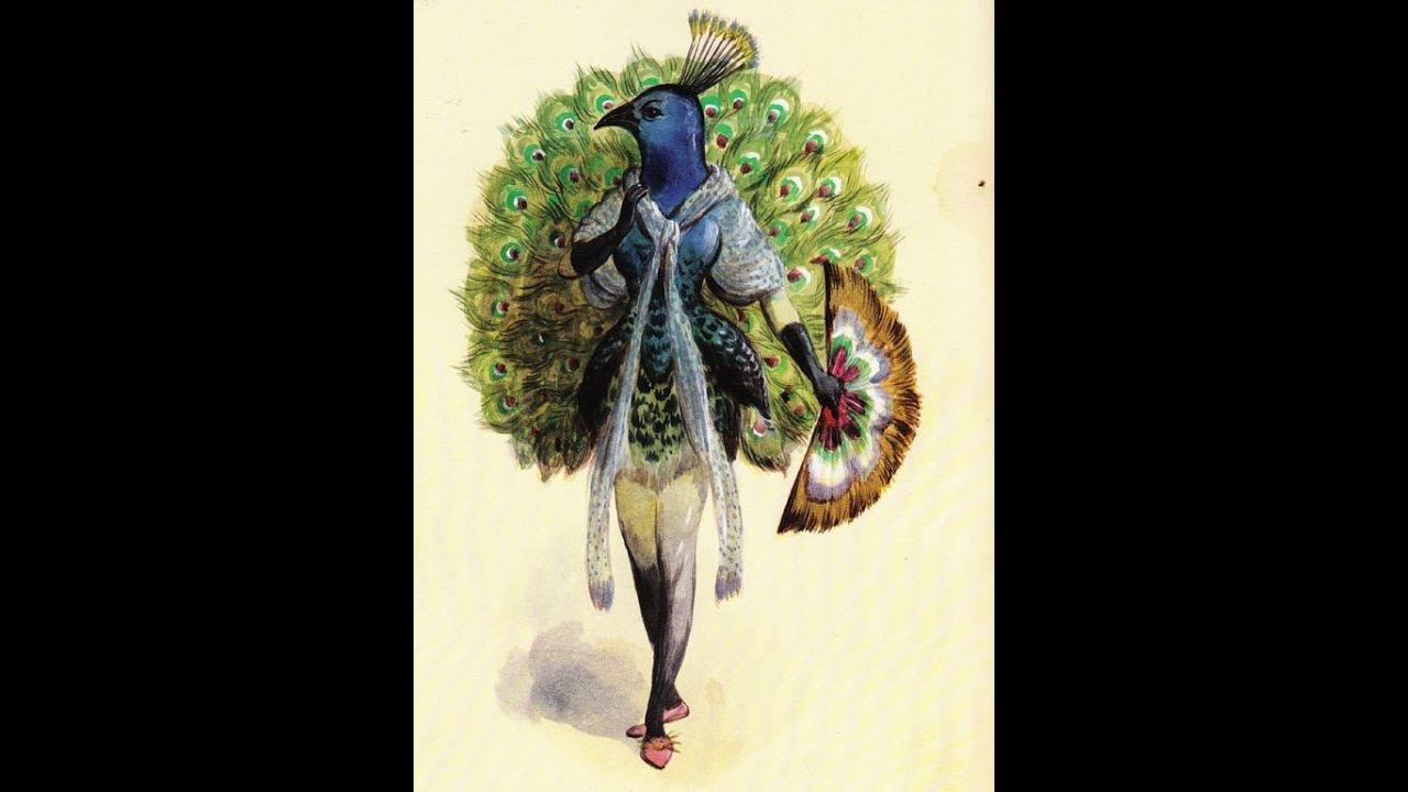 Costume Design What to Expect