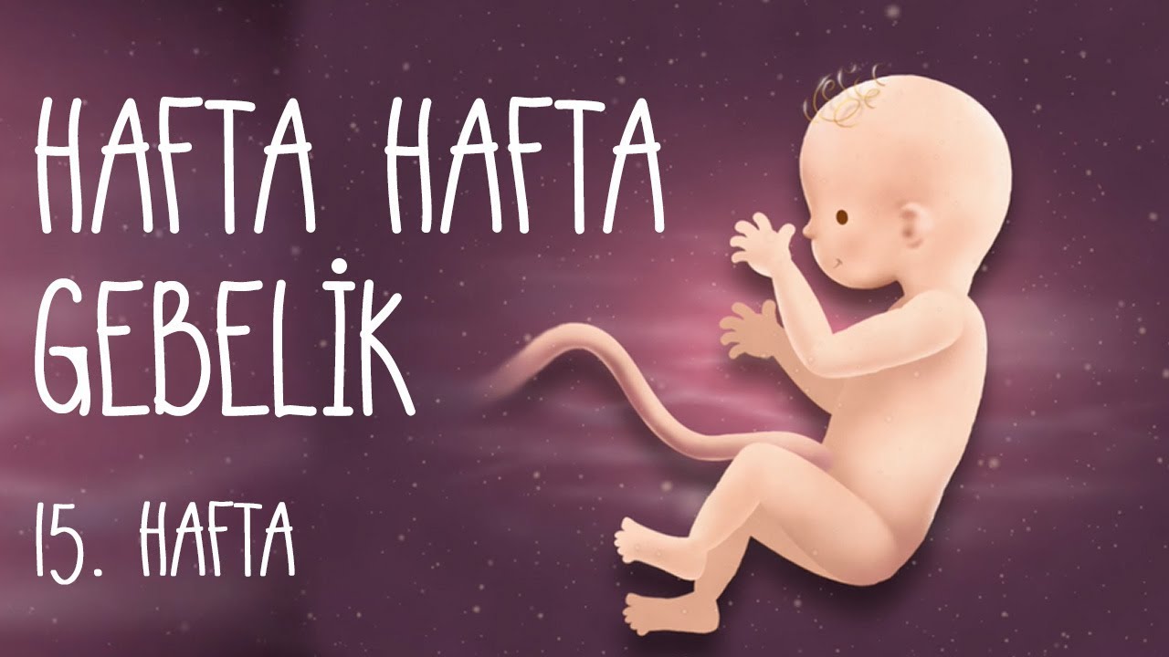 Hafta Hafta Gebelik 15. hafta