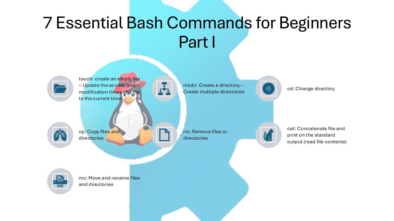 Bash for Beginners - Part I. Learn 7 basic Bash commands (touch, mkdir, cd, cp, rm, cat and mv)