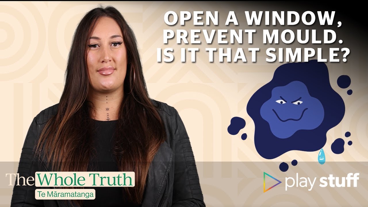 Why your mould solution may be making things worse | The Whole Truth: Te Māramatanga | Stuff.co.nz