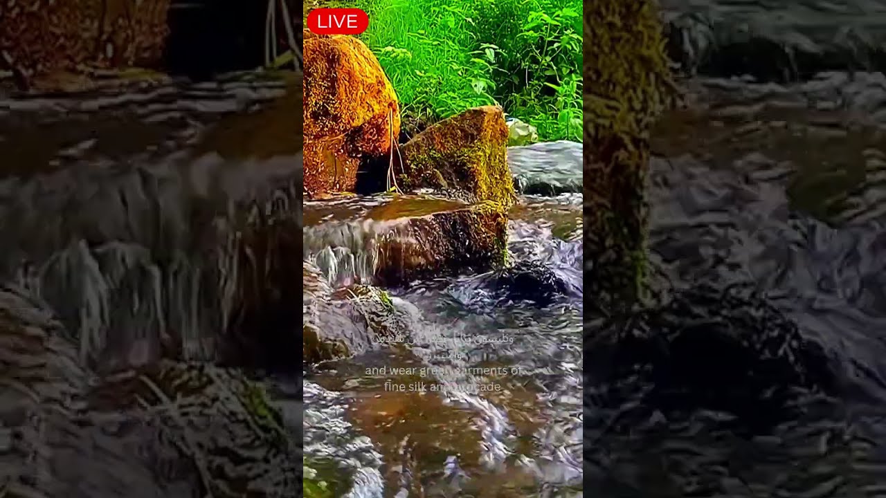 LIVE! QURAN RECITATION: SURAH AL KAHF