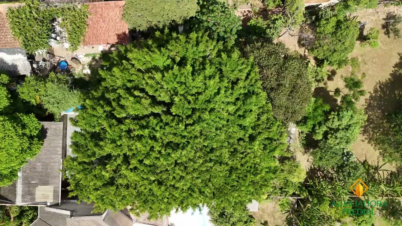 Ref&uacute;gio Exclusivo com Vista Mar nos Ingleses ? Espa&ccedil;o, Natureza e Privacidade em um Terreno de 1.930