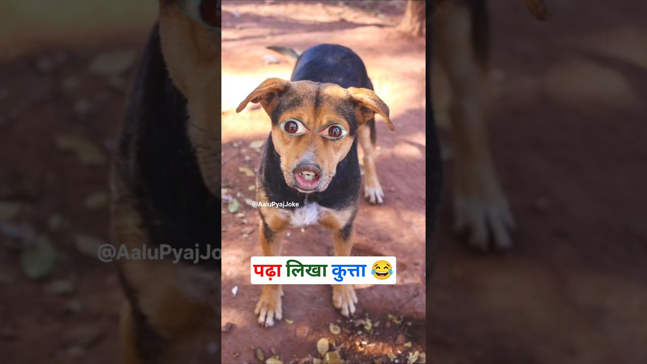 पढ़ा लिखा कुत्ता 😂🤣 || #comedy #shorts #ytshorts #ytshorts &lrm;@thethar_puns  #cartoon