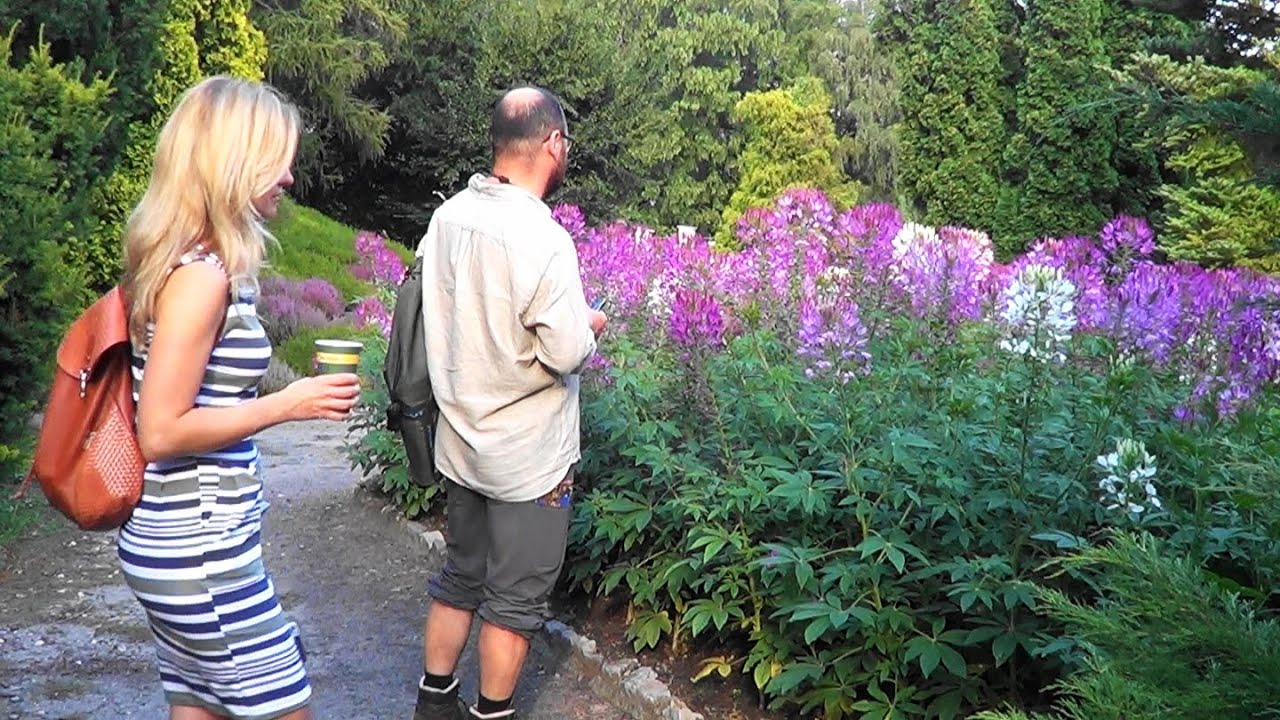 Kraków. Ogród Botaniczny UJ w  sierpniu 2016
