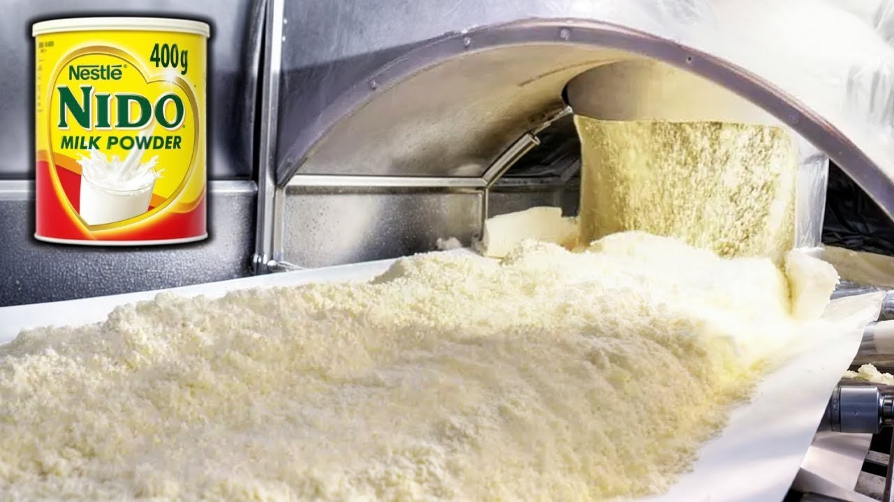 How Milk Powder is Made in a Factory | Step-by-Step Milk Powder Production Process