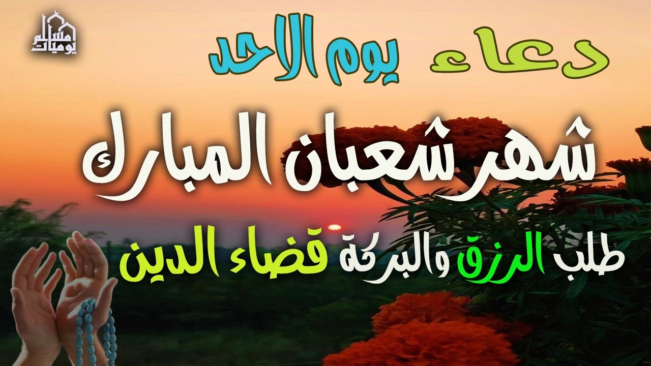دعاء فى يوم الاحد المستجاب دعاء يوم 20 من شهر شعبان للرزق والشفاء العاجل وقضاء الحوائج 🤲(4k)