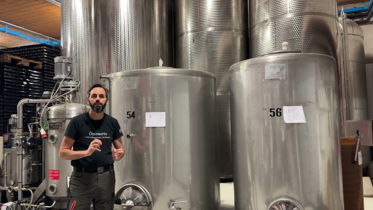 Fermentazione e affinamento del vino in acciaio