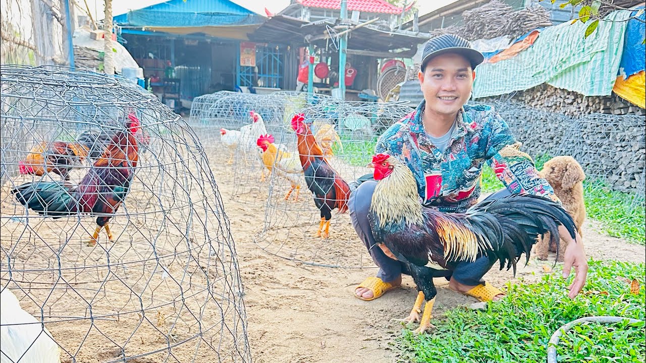 Tốp Những Bé 🐓 Mới Về  🏕️ Phục Vụ Ae Vui Ca 🎤 Nhảy 💃 Múa🕺 Ae Xem Clip Vv