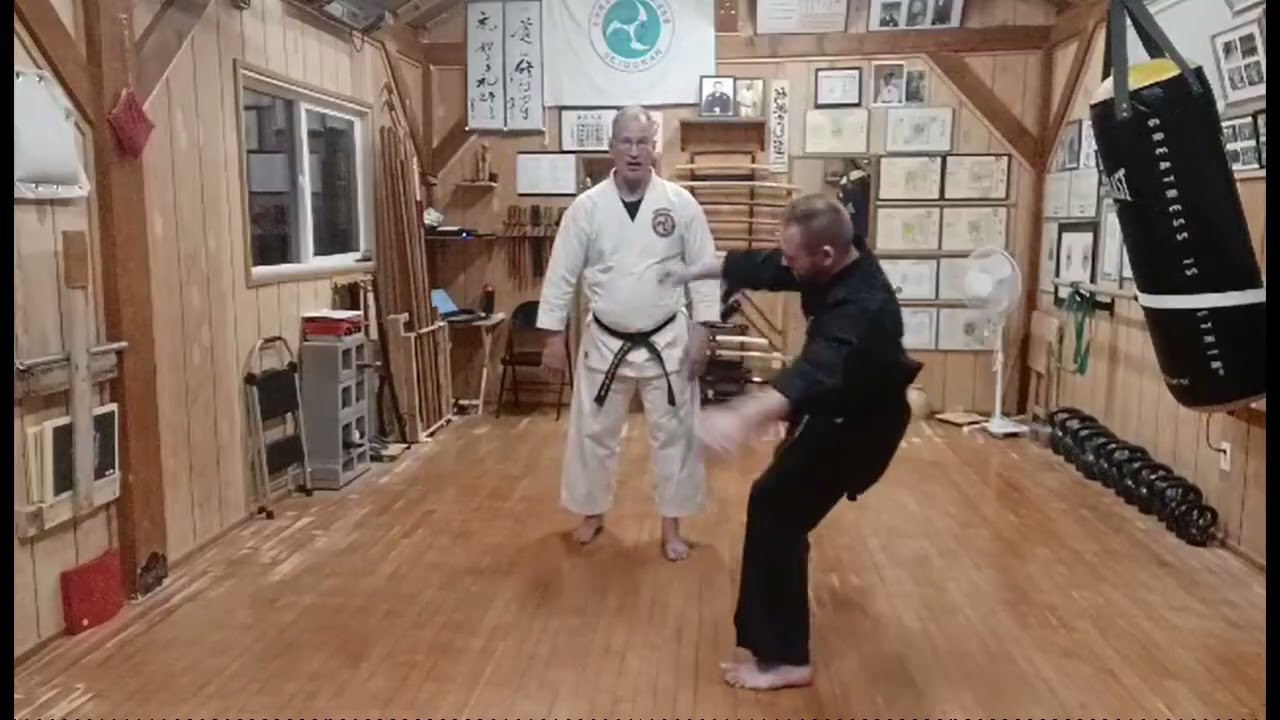 Seidokan Saturday 294, Foot position for power