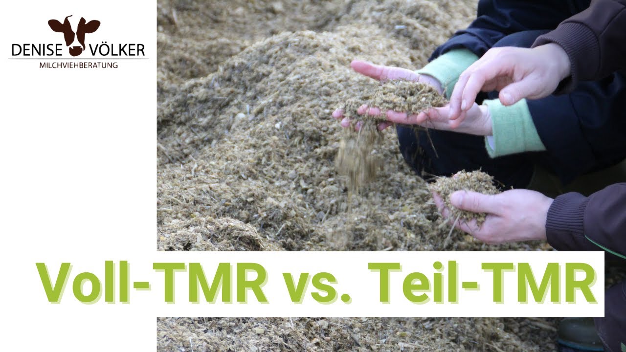 Teil-TMR oder Voll-TMR?