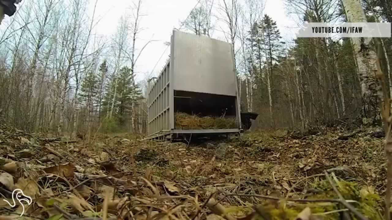 First Taste of Freedom