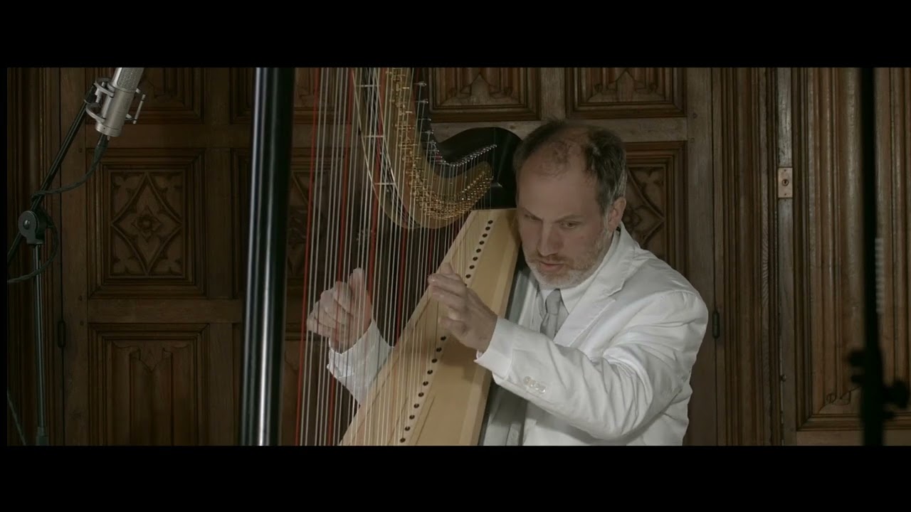 Tribute to Ryuichi Sakamoto : Aqua / François Pernel harp cover