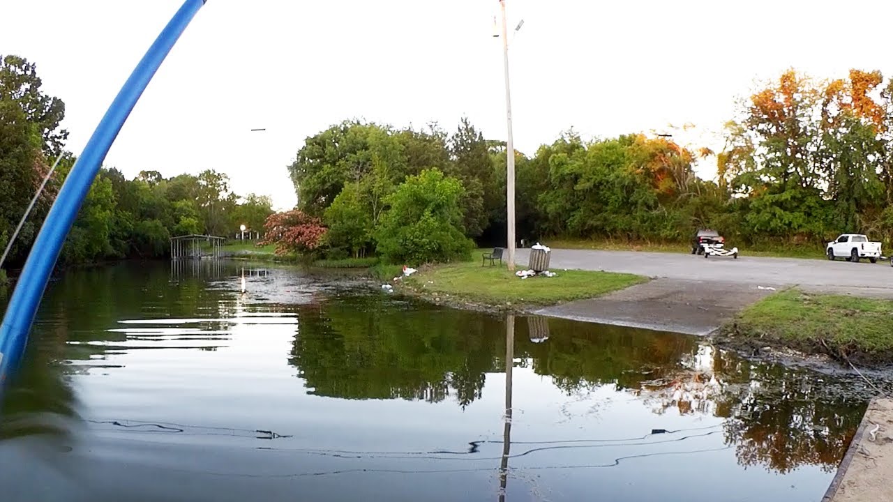 Realistic Fishing From A Public Dock - Finesse Rig & Texas Rig Fishing