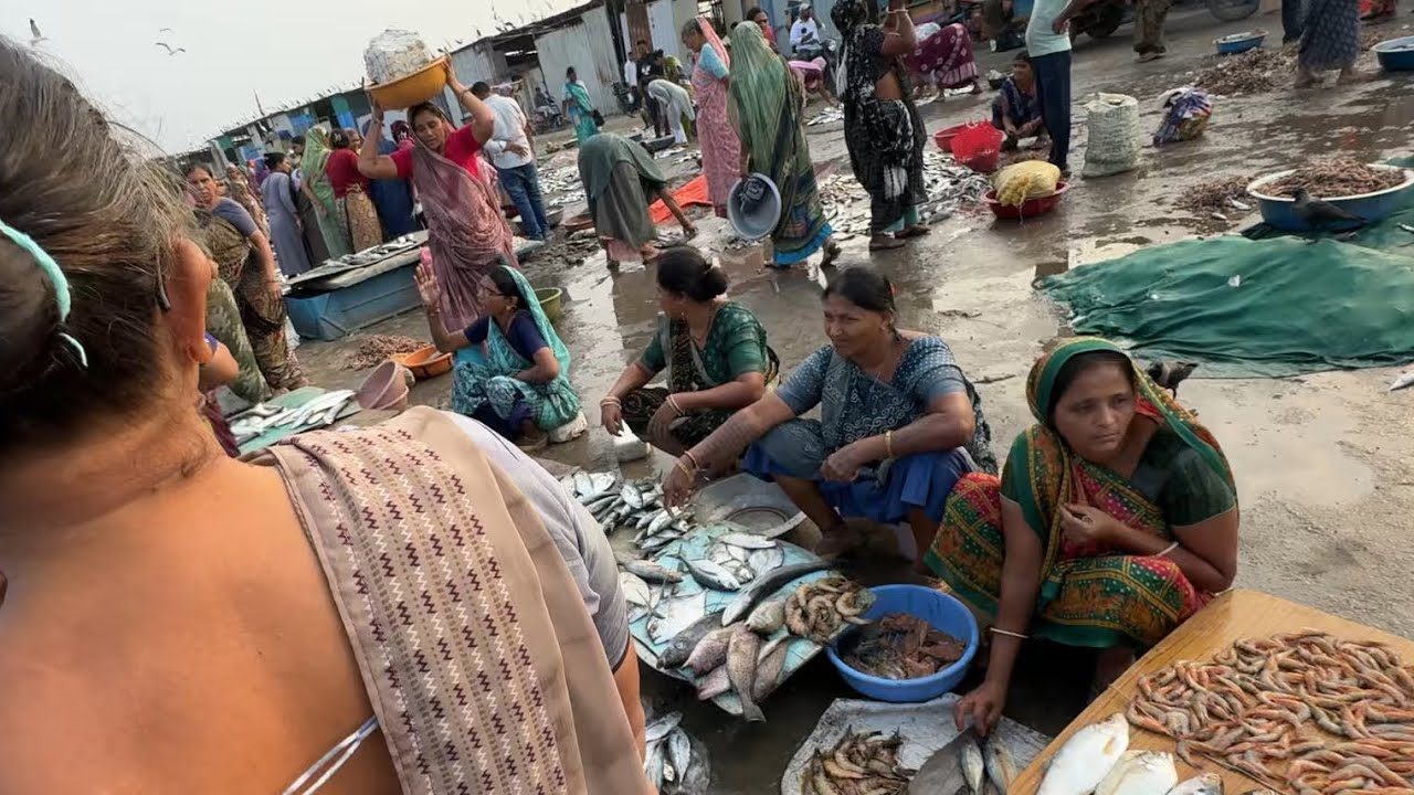 Vanakbara fish market | wholesale fish market ￼| Vanakbara Diu Fish 🐟 Market 