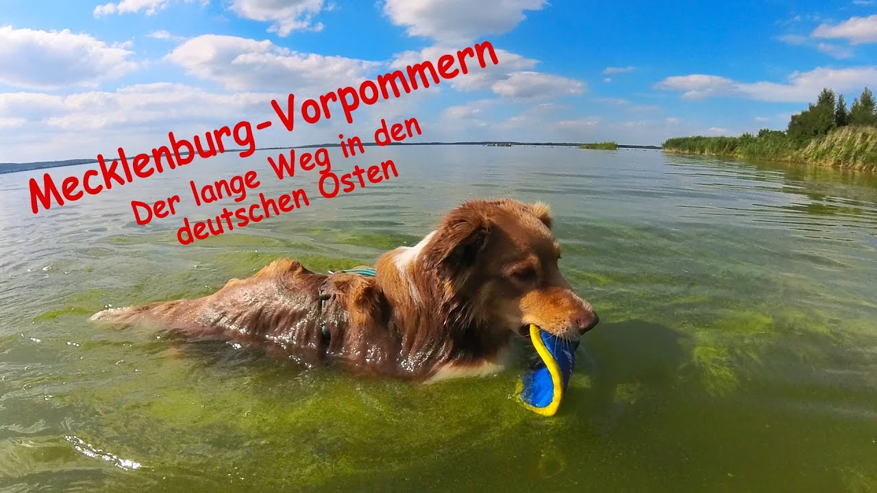 Der lange Weg in den deutschen Osten - Vom Mühlviertel nach Mecklenburg Vorpommern