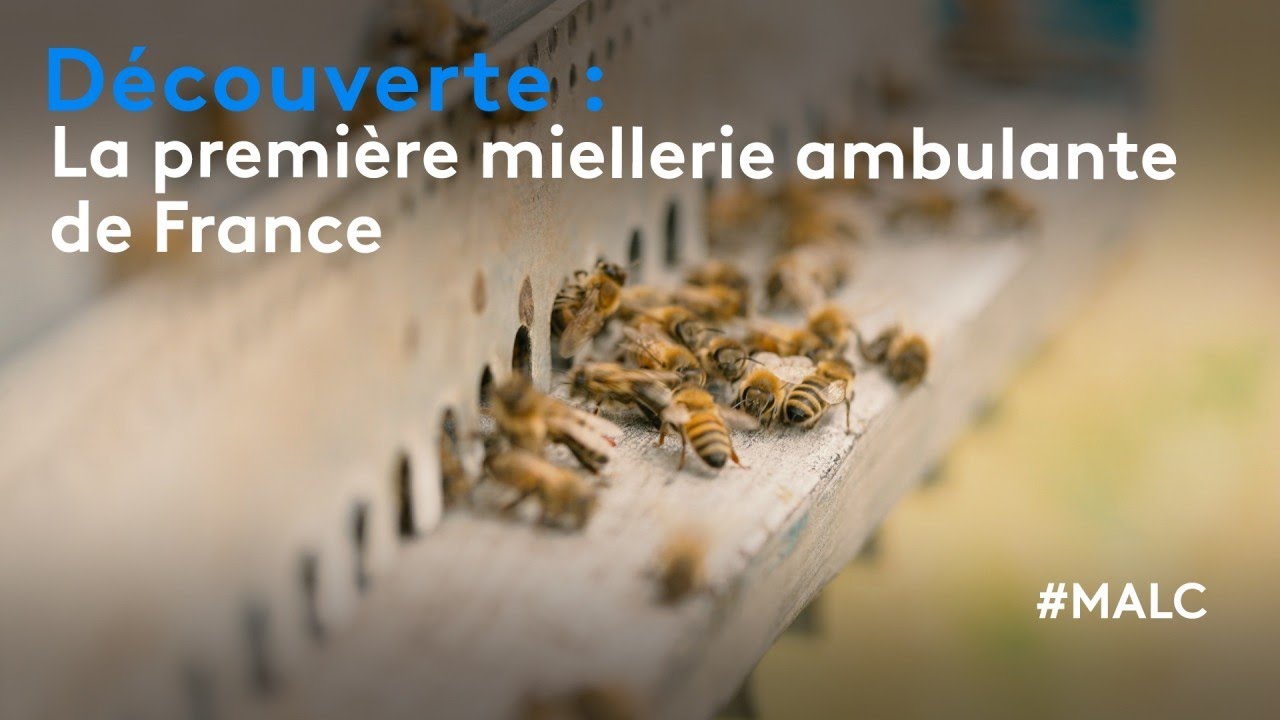 D&eacute;couverte : la premi&egrave;re miellerie ambulante de France