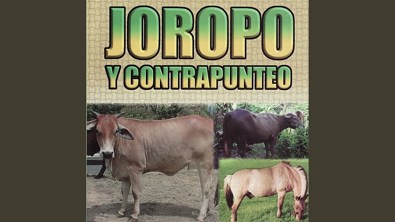 Nuevo Regreso